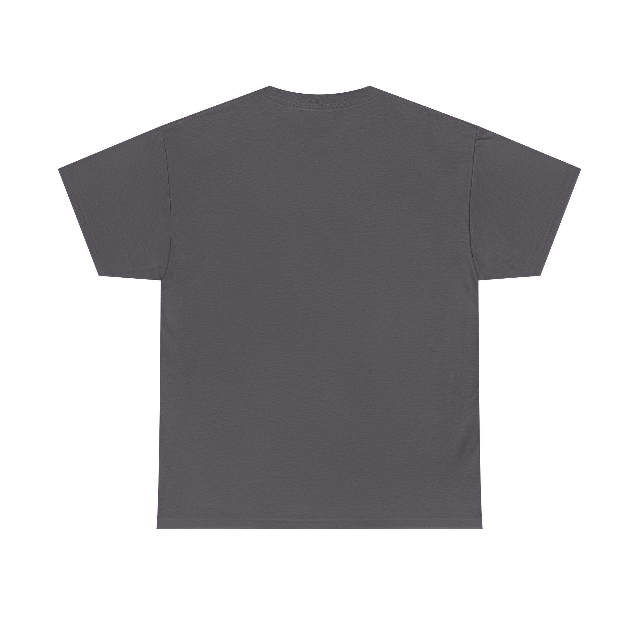 I Paused My Game To Be Here | Funny Gamer T-Shirt