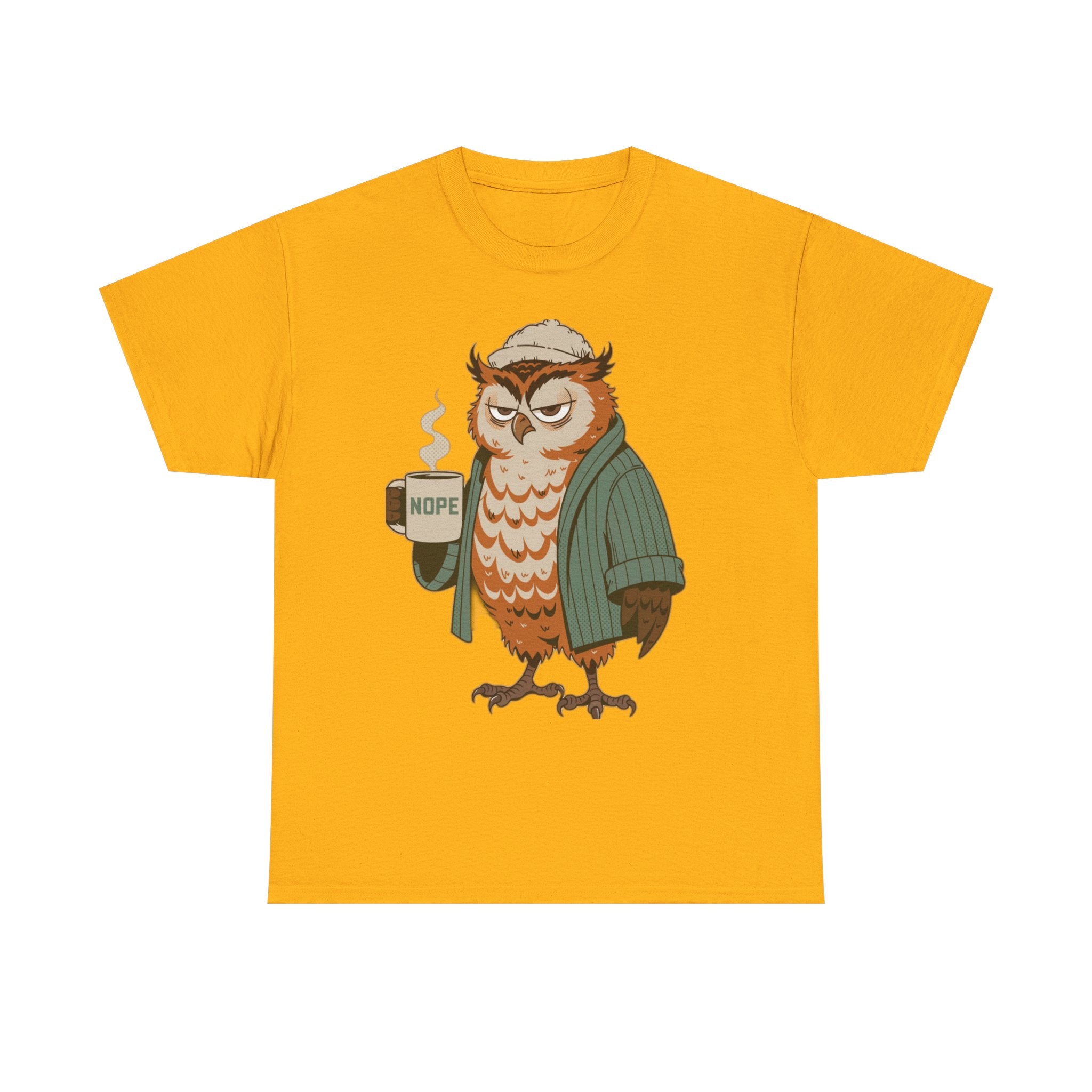 Not A Morning Person Or Afternoon Person | Funny Night Owl Tee