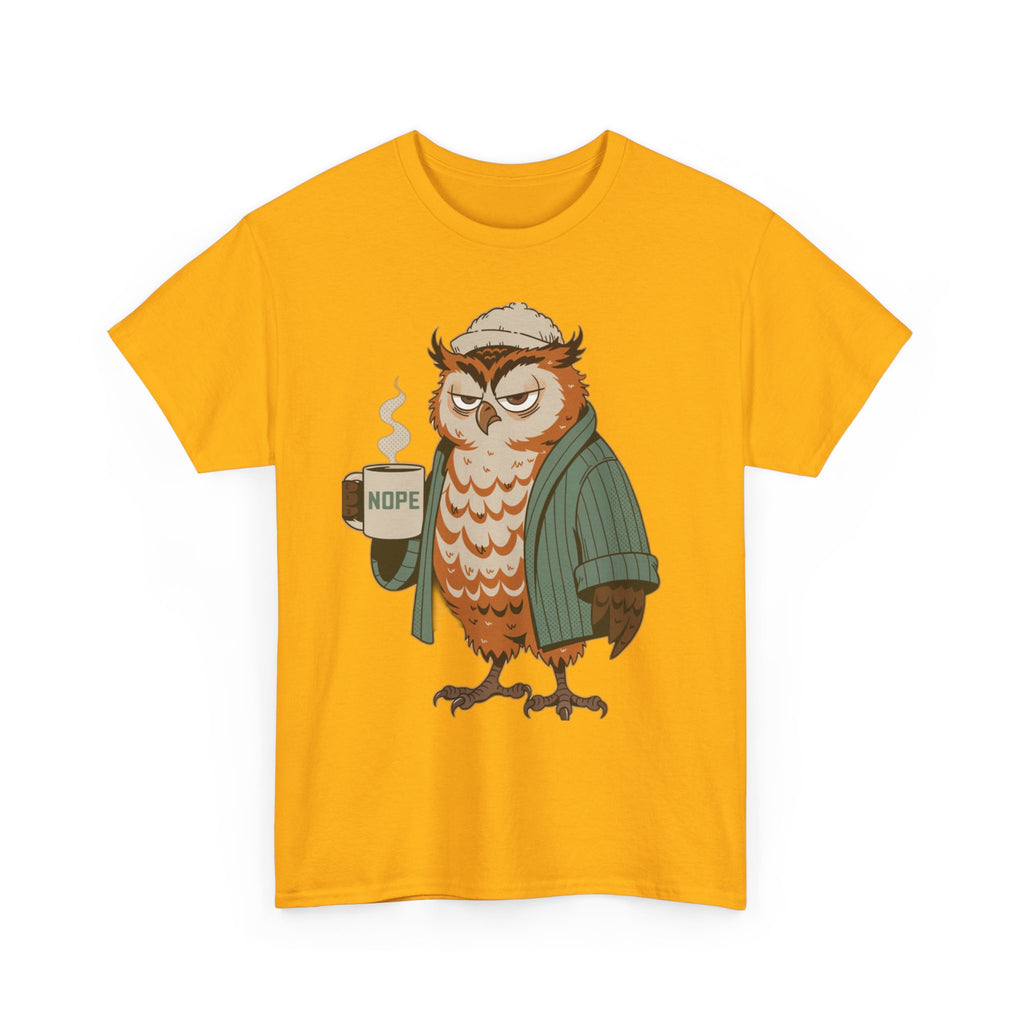 Not A Morning Person Or Afternoon Person | Funny Night Owl Tee